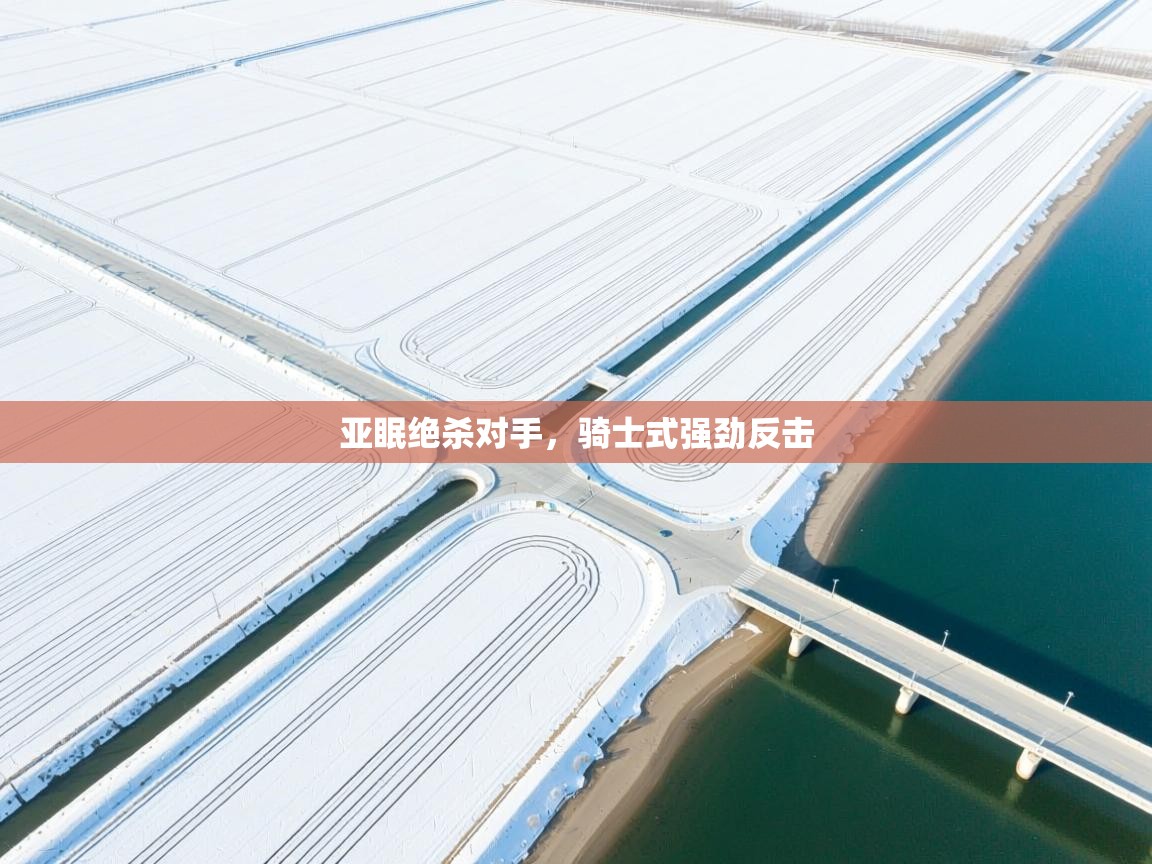 亚眠绝杀对手,骑士式强劲反击 第2张