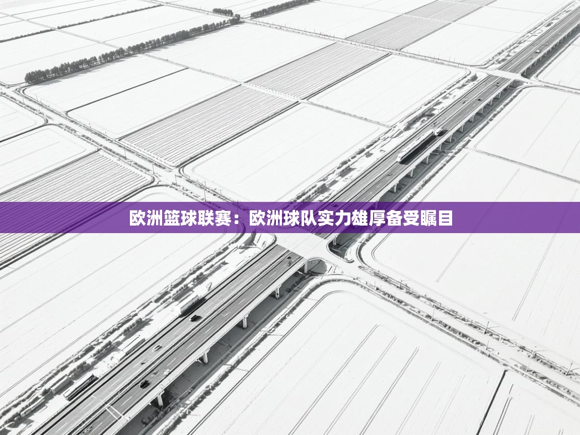 欧洲篮球联赛:欧洲球队实力雄厚备受瞩目 第1张