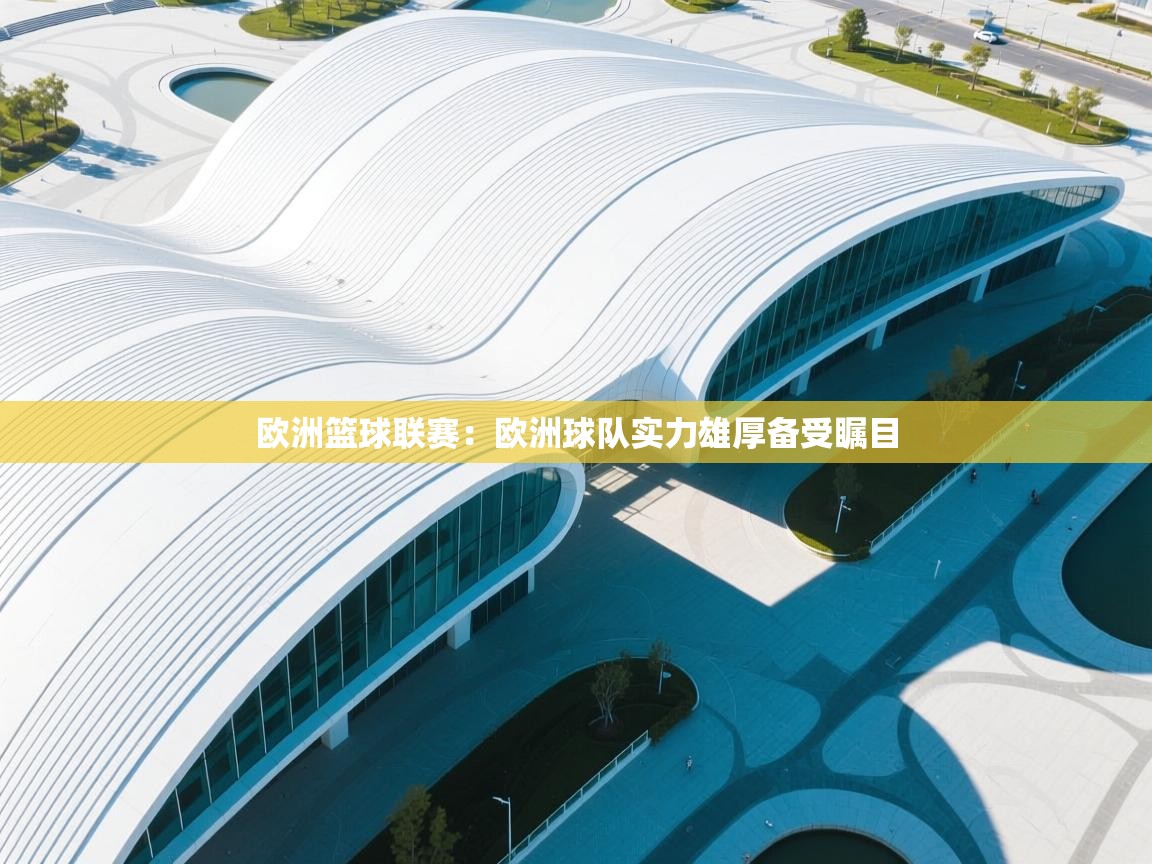 欧洲篮球联赛:欧洲球队实力雄厚备受瞩目 第2张