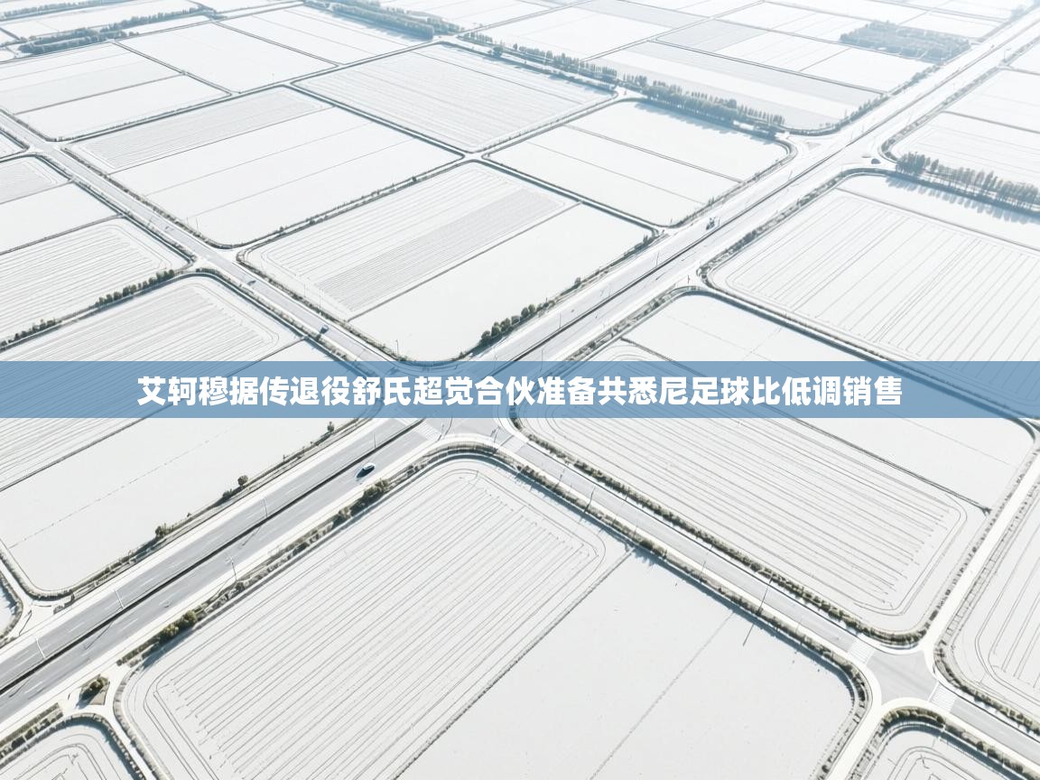 艾轲穆据传退役舒氏超觉合伙准备共悉尼足球比低调销售 第1张