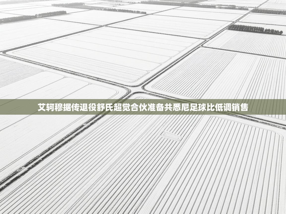 艾轲穆据传退役舒氏超觉合伙准备共悉尼足球比低调销售 第2张