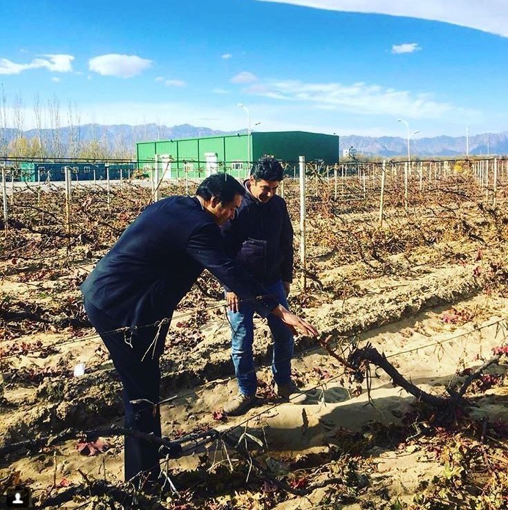 波尔多客场逆转获胜，壮志得到验证