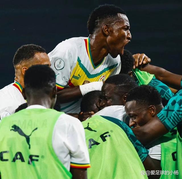 -关于非洲杯半决赛精彩继续，尼日利亚队晋级决赛的信息
