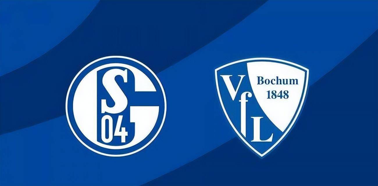 九游体育官方入口-波鸿主场战平，暂时排名处于保级区的简单介绍